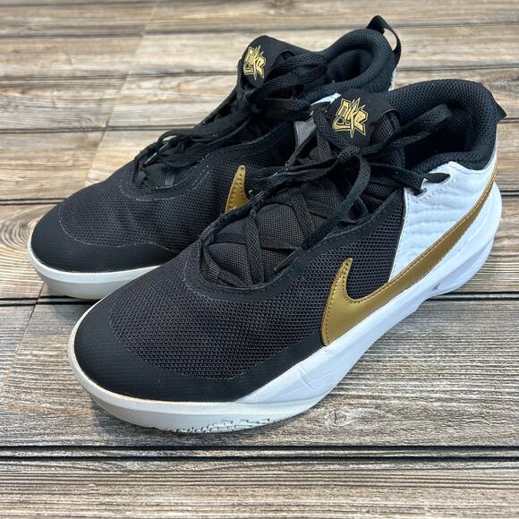 Nike basketball shoes- team hustle D10 big kid size 6Y - Picture 1 of 7